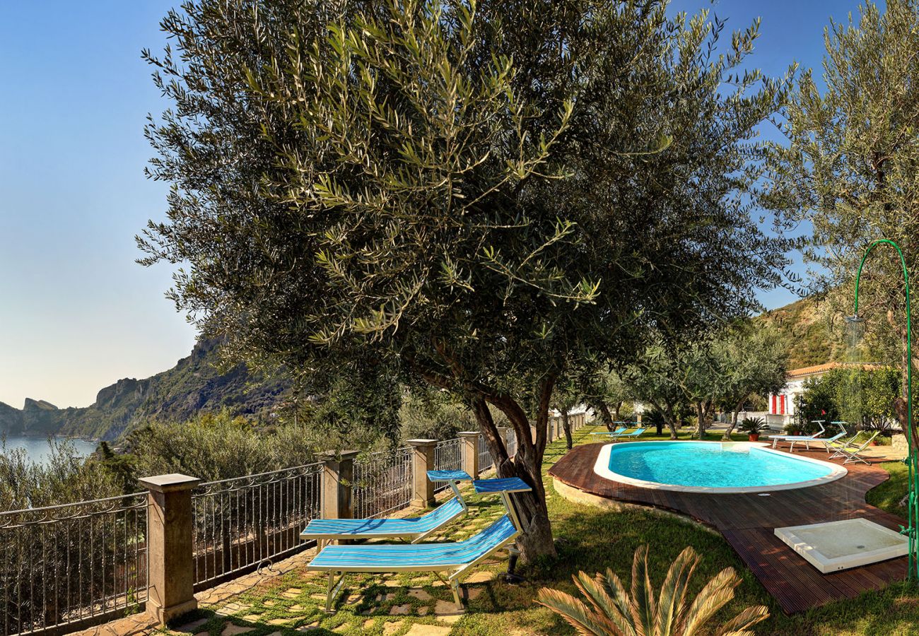 Villa a Massa Lubrense - Relais Mamma Mia