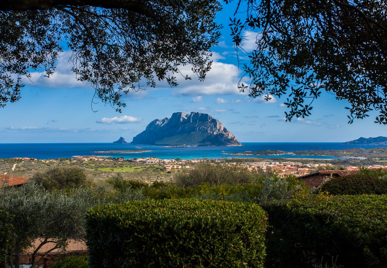 Villa a Porto San Paolo - Villa Alberto