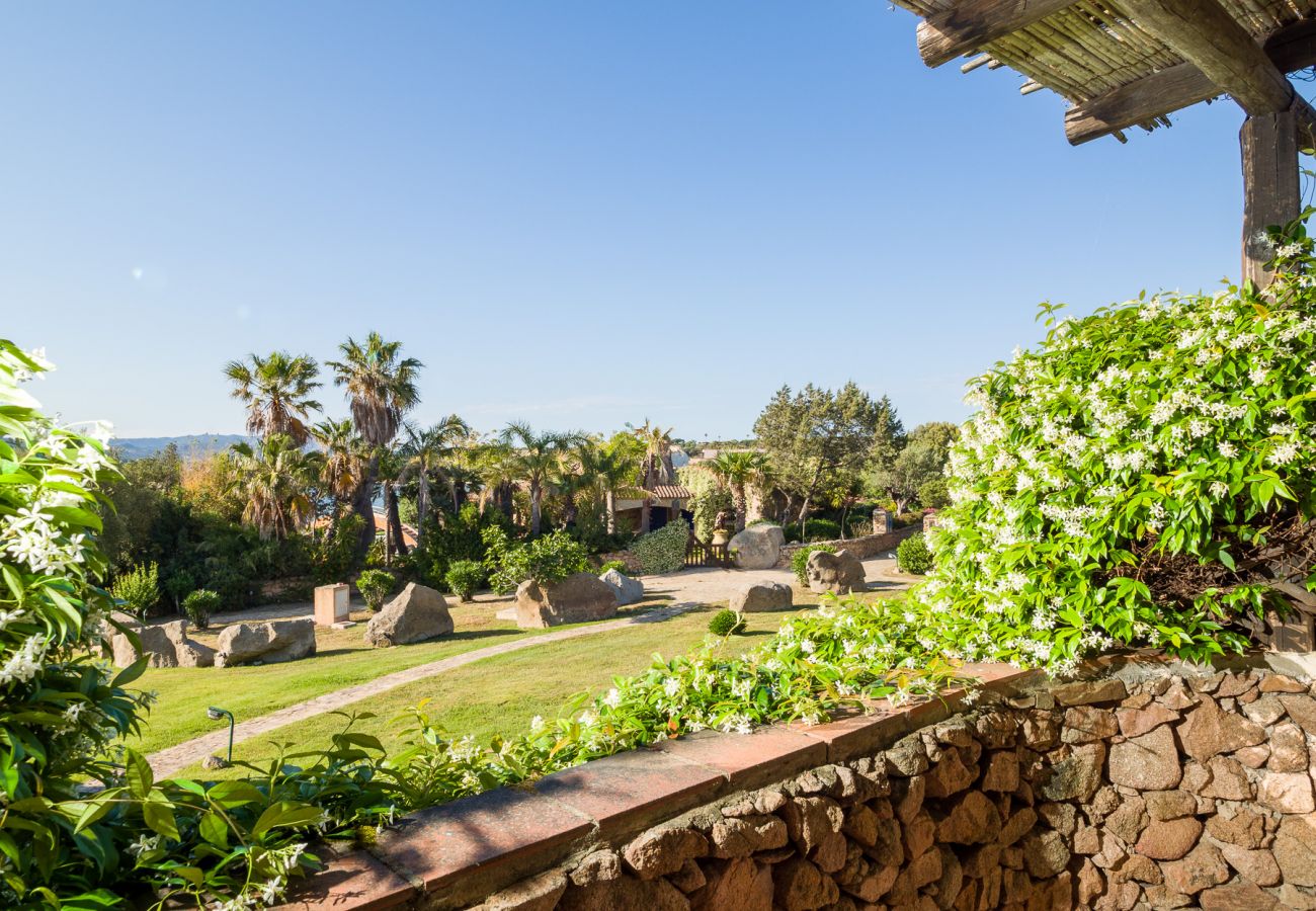 Appartamento a Porto Rotondo - Caletta Nest 10