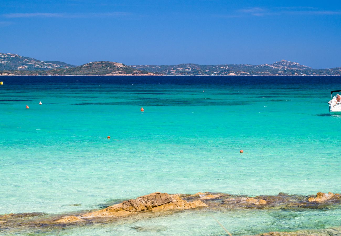 Appartamento a Porto Rotondo - Caletta Nest 10