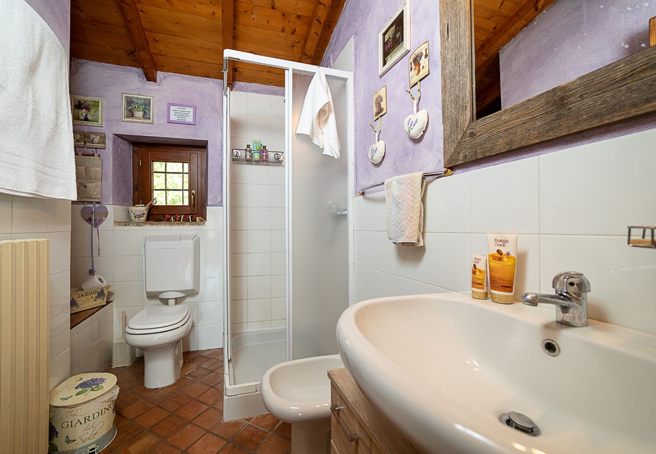 Casa a schiera a Lazise - COUNTRYHOUSE NOCINO 1