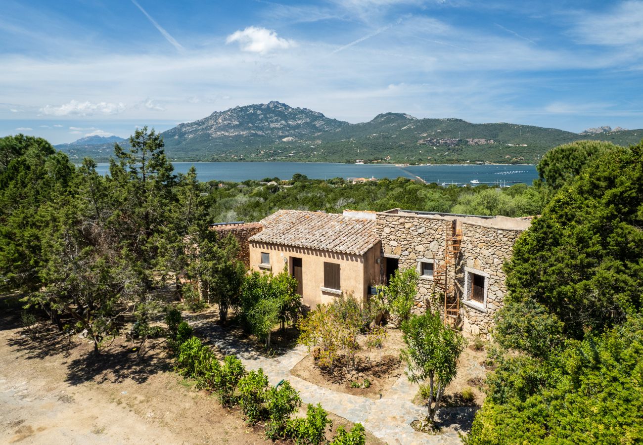 Appartamento a Porto Rotondo - Caletta Nest 53