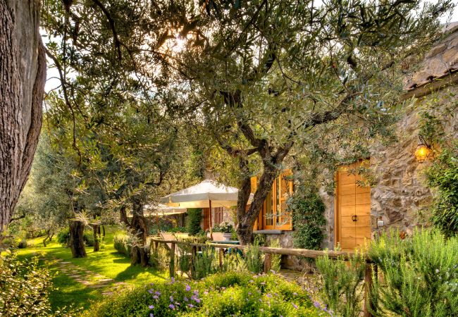 olive trees garden, casale la torre, holiday apartments near sorrento, massa lubrense, italy