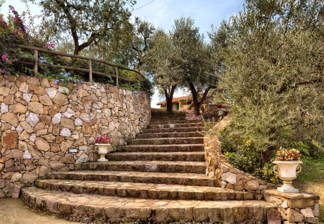 stone stairs in the garden, casale la torre, holiday apartments near sorrento, massa lubrense, italy