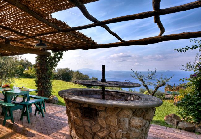 bbq and garden with view, casale la torre, holiday apartments near sorrento, massa lubrense, italy