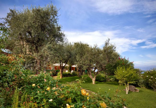 wide garden and flowers, casale la torre, holiday apartments near sorrento, massa lubrense, italy