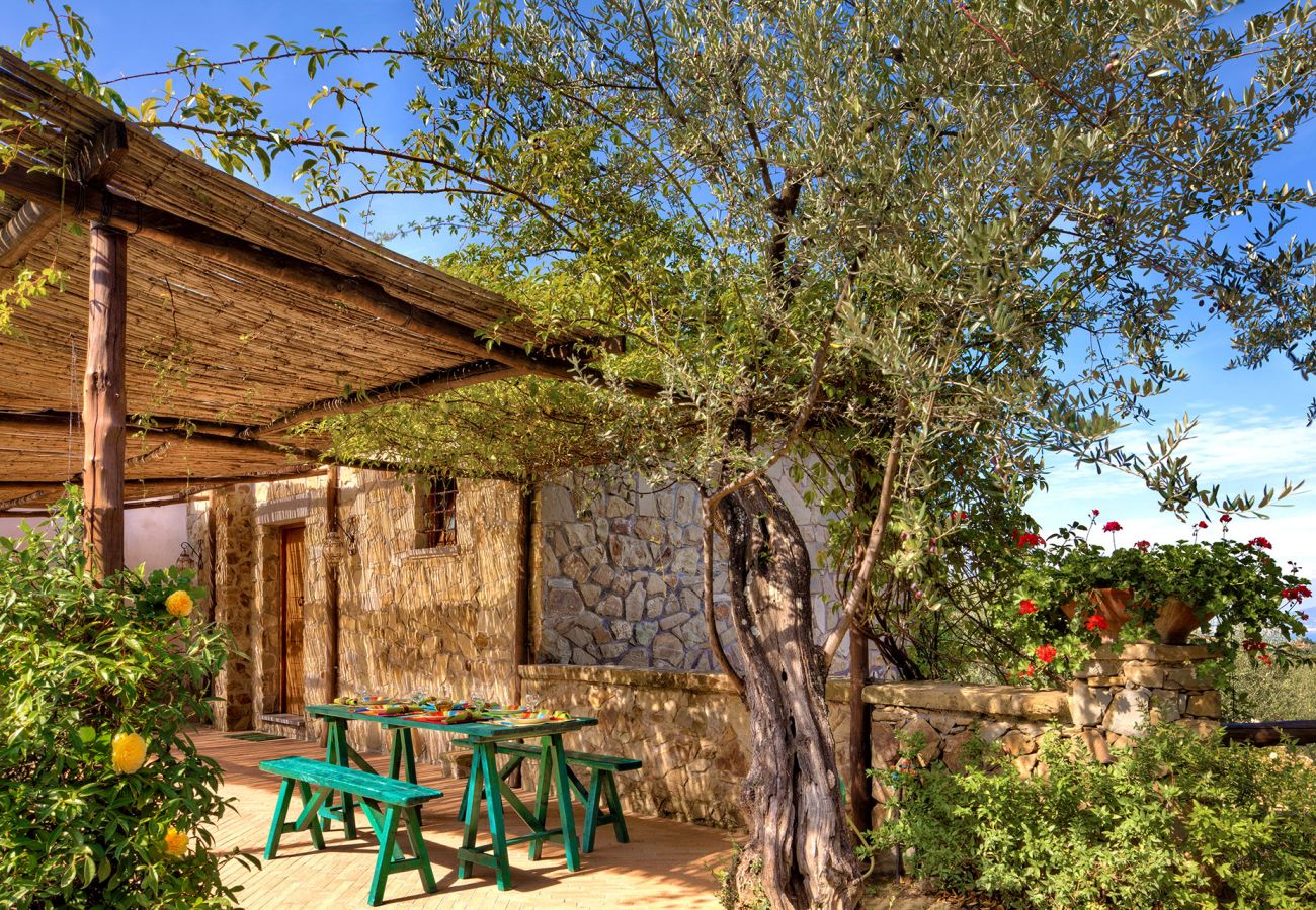 primula apartment in a farmhouse, casale la torre, holiday apartments near sorrento, massa lubrense, italy