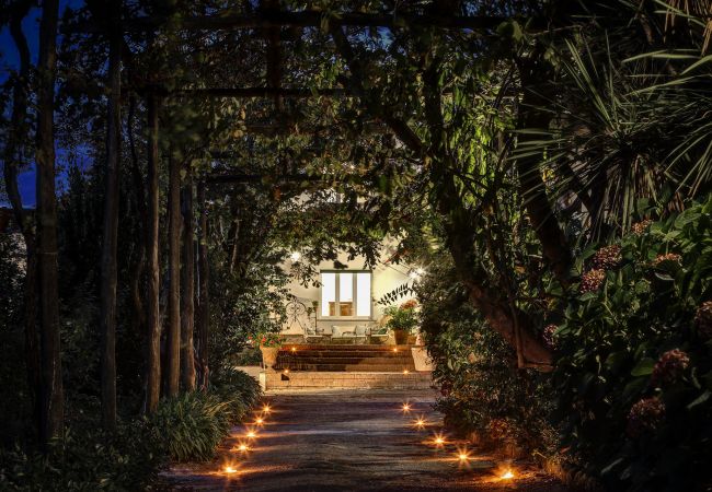 illuminated garden at night, vacation villa la casa bianca, massa lubrense, italy