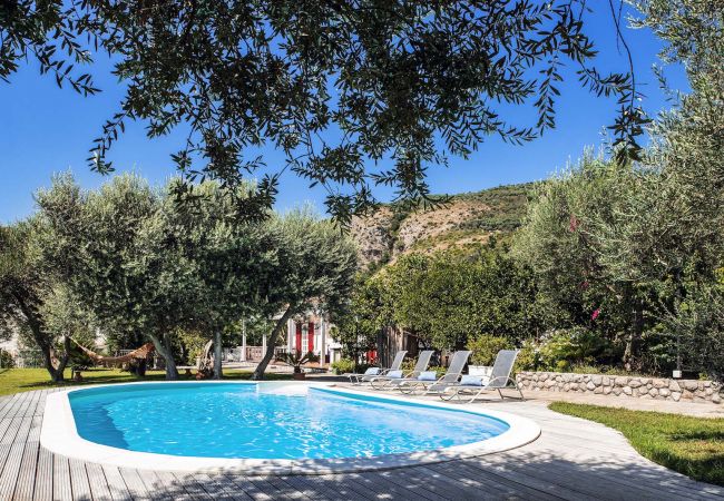 pool, solarium and garden, sunny day, vacation villa mamma mia