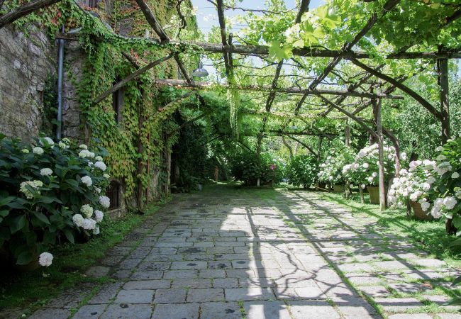 patio surrounded by garden, villa mellicata, massa lubrense, italy