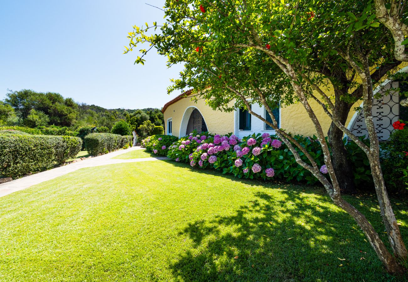 Apartment in Baia Sardinia - Rotonda Cottage 34