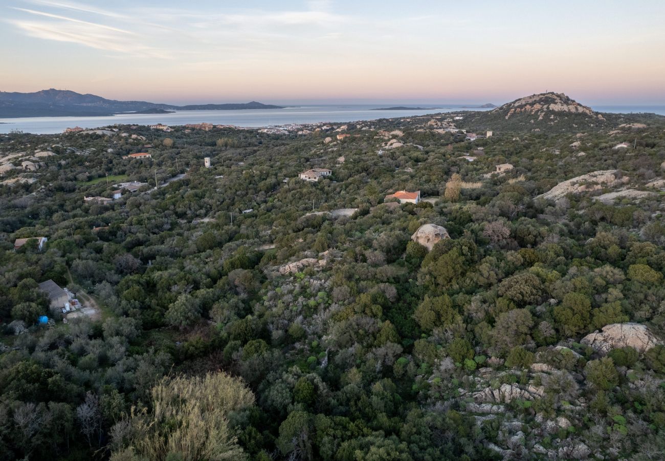 Apartment in Porto Rotondo - I Lecci 1