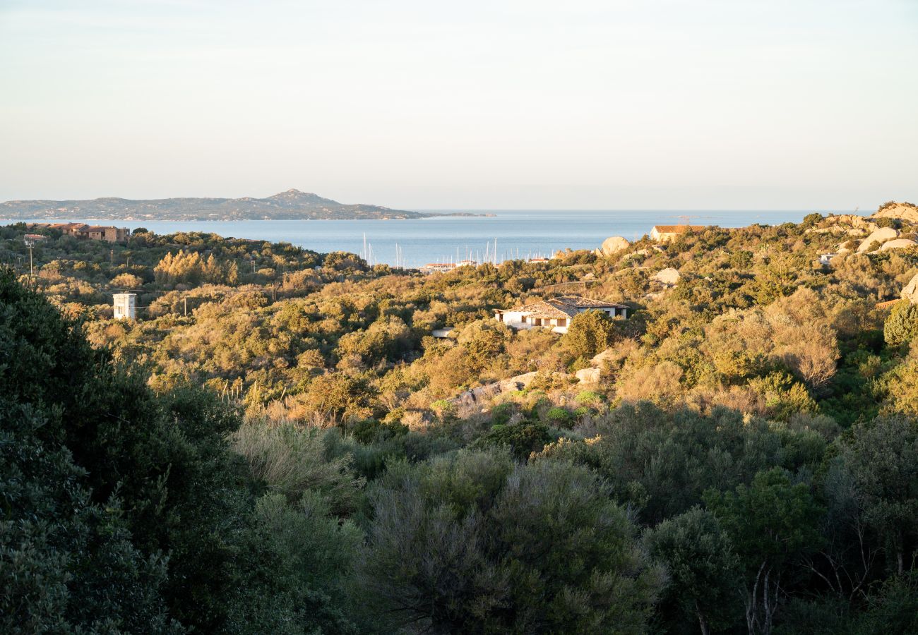 Apartment in Porto Rotondo - I Lecci 1